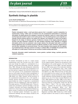 Synthetic biology in plastids