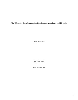 The Effect of a Deep Seamount on Zooplankton