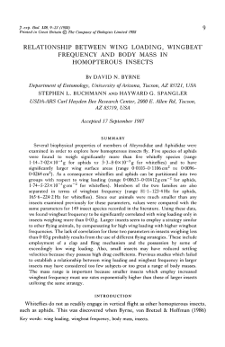 relationship between wing loading, wingbeat frequency and body