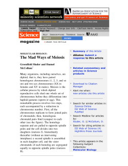 The Mad Ways of Meiosis - the Biology Department