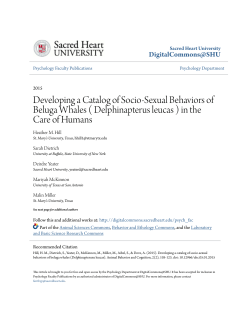 Developing a Catalog of Socio-Sexual Behaviors of Beluga Whales