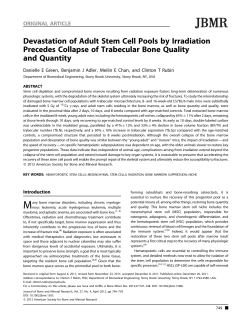 Devastation of adult stem cell pools by irradiation precedes collapse