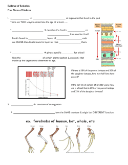 Evidence of Evolution note sheet