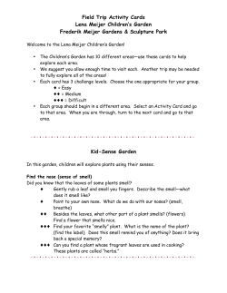 Field Trip Activity Cards