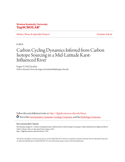 Carbon Cycling Dynamics Inferred from Carbon