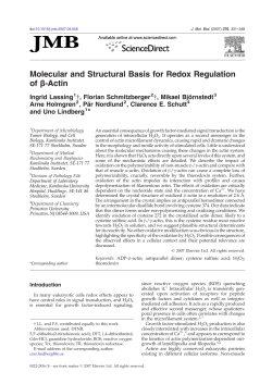 Molecular and Structural Basis for Redox Regulation of &beta;