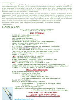 our 2017 NEWSLETTER as well as other