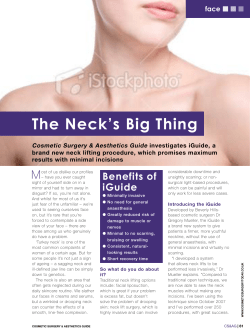The Neck`s Big Thing