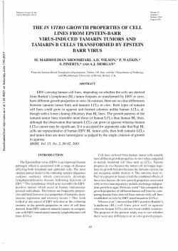 the in vitro growth properties of cell lines from epstein-barr