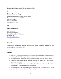 Economics of Housing Externalities