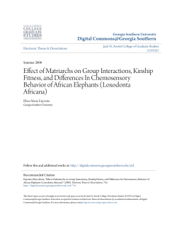 Effect of Matriarchs on Group Interactions, Kinship Fitness, and