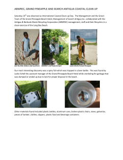 abwrec, grand pineapple and search antigua coastal