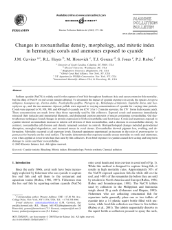 Changes in zooxanthellae density, morphology, and mitotic