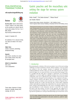 Gastric pouches and the mucociliary sole: setting the stage for