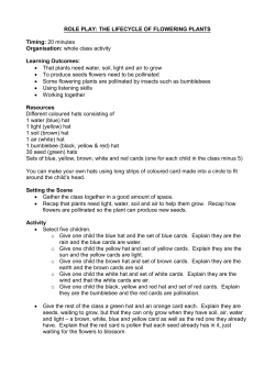 Flowering plant lifecycle role play instructions