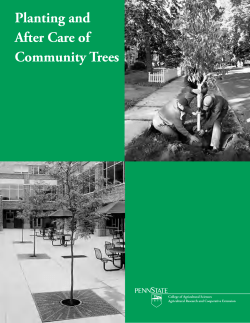 Planting and After Care of Community Trees