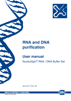 RNA and DNA purification - Macherey