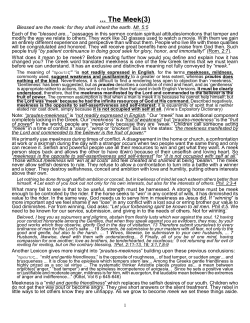 The Meek(3) - Bible Questions