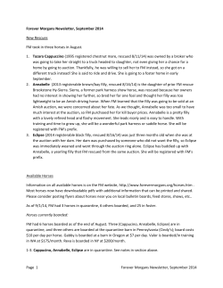 Forever Morgans Newsletter, September 2014 New Rescues FM