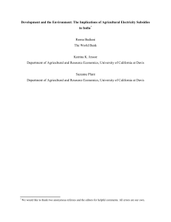 Development and the Environment: The Implications of