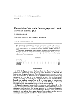 The cuticle of the crabs Cancer pagurus L. and Carcinus maenas (L.)