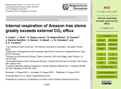 Internal respiration exceeds external CO2 efflux