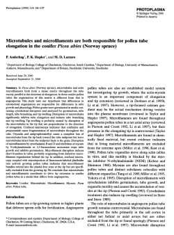 Microtubules and microfilaments are both responsible