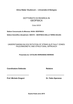 - AMS Tesi di Dottorato