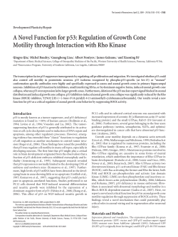 A Novel Function for p53: Regulation of Growth Cone Motility