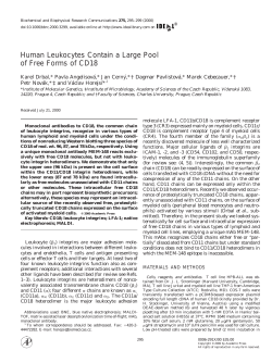 Human Leukocytes Contain a Large Pool of Free Forms of CD18