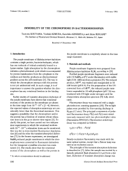 IMMOBILITY OF THE CHROMOPHORE IN BACTERIORHODOPSIN