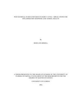 post-ruminal starch infusion in dairy cattle: implications for