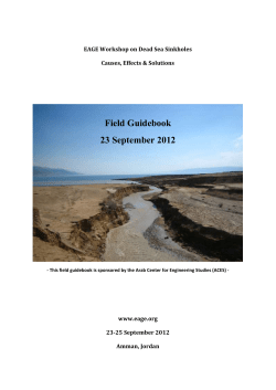 EAGE Workshop on Dead Sea Sinkholes