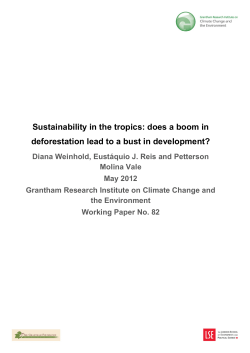 Sustainability in the tropics: does a boom in deforestation lead