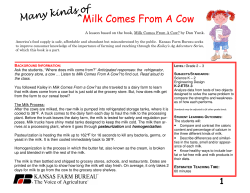 (Many Kinds of) Milk Comes From a Cow?