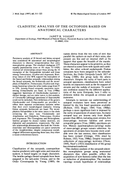 cladistic analysis of the octopods based on