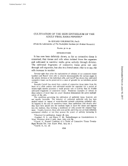 CULTIVATION OF THE SKIN EPITHELIUM OF THE ADULT FROG