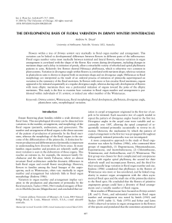THE DEVELOPMENTAL BASIS OF FLORAL VARIATION IN