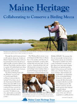 Collaborating to Conserve a Birding Mecca