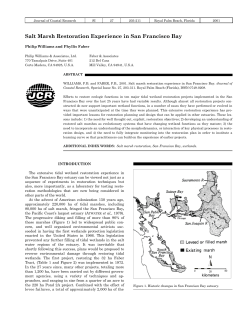 Salt Marsh Restoration Experience in San Francisco Bay