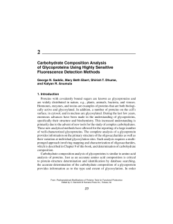 Carbohydrate Composition Analysis of Glycoproteins