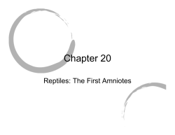 Chapter 20 - SPS186.org