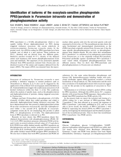 Identification of isoforms of the exocytosis
