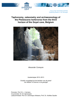Taphonomy, osteometry and archaeozoology of the Pleistocene