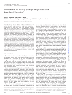 Image-Statistics or Shape-Based Perception?