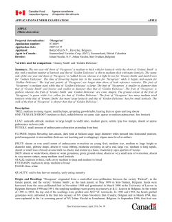 APPLICATIONS UNDER EXAMINATION APPLE Proposed