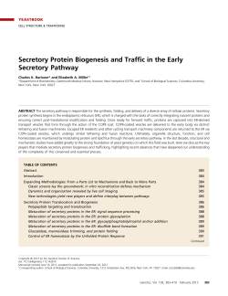 Secretory Protein Biogenesis and Traffic in the Early Secretory