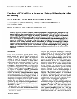 Functional mRNA half-lives in the marine Yibrio sp