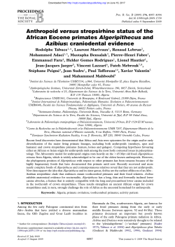 Anthropoid versus strepsirhine status of the African Eocene primates