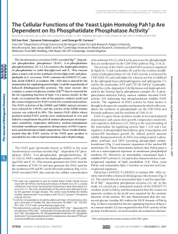 The Cellular Functions of the Yeast Lipin Homolog Pah1p Are